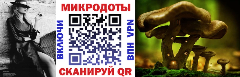 Галлюциногенные грибы Psilocybine cubensis  Павловск 